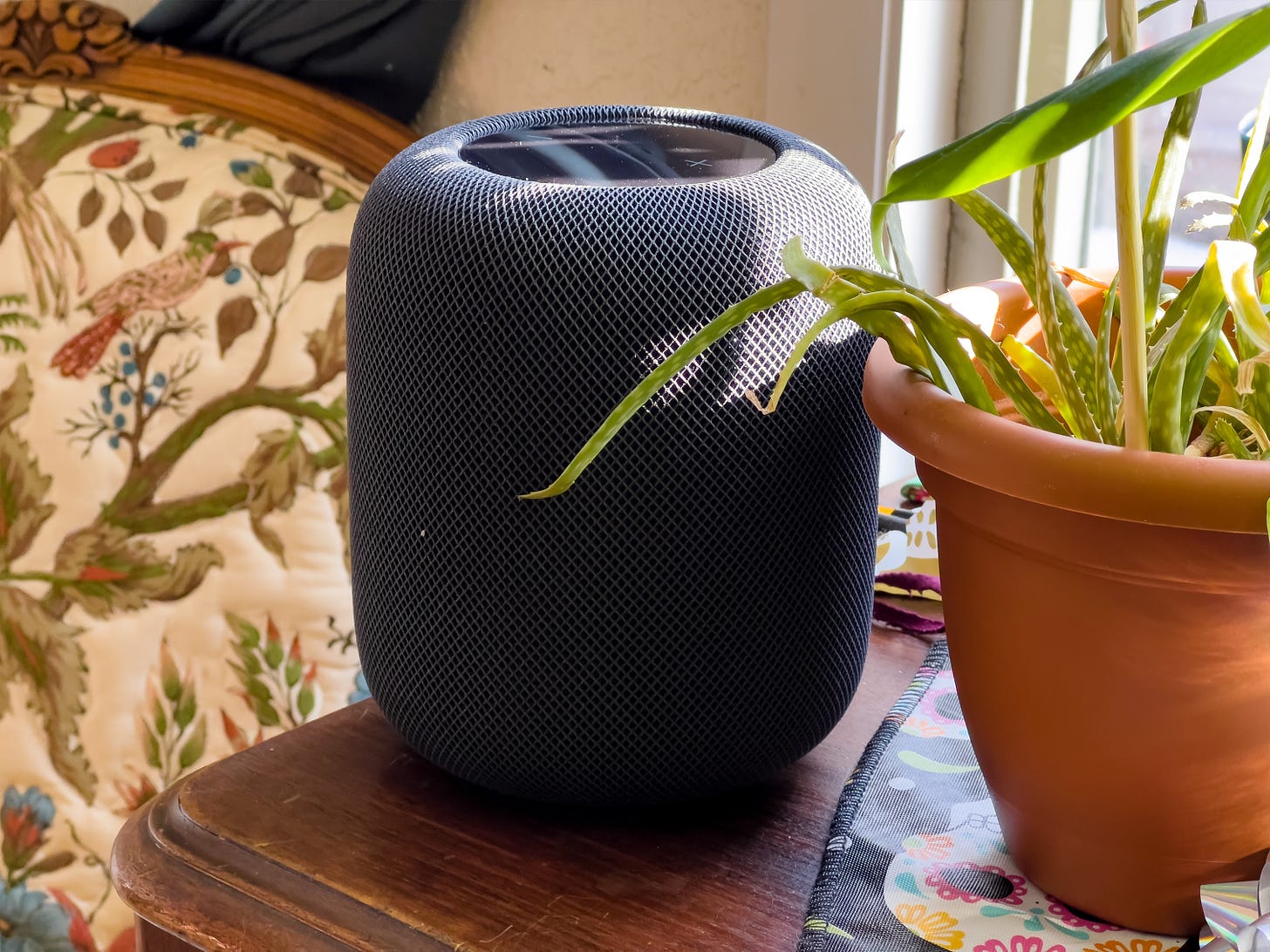 A HomePod 2 sitting next to a plant