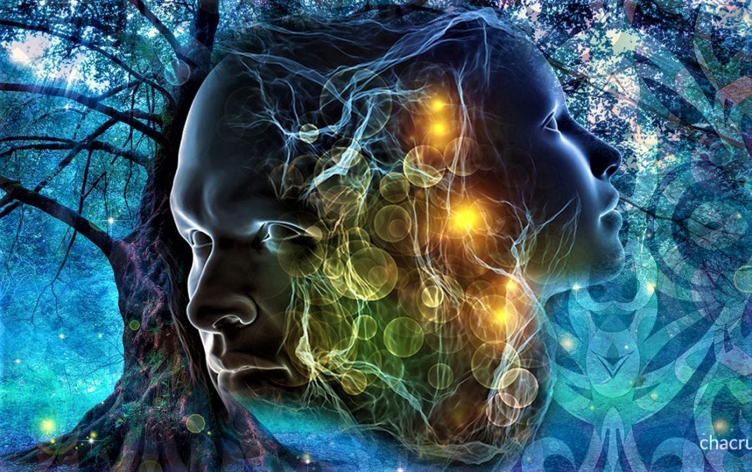 Your Brain Is Not Your Mind: An Exploration Of The True Nature Of Consciousness - Conscious Reminder