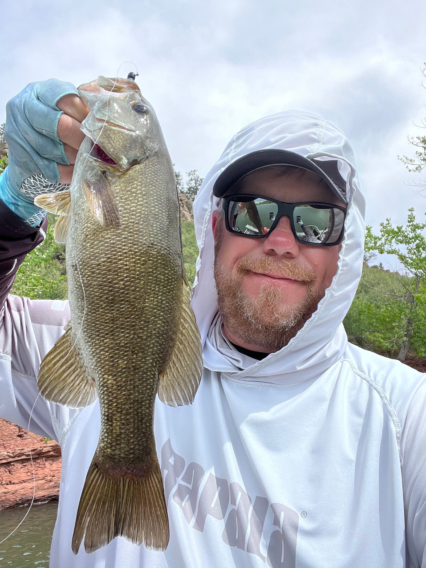 Horsetooth smallmouth bass, Fort Collins, Colorado Bass Fishing, Brad Petersen Outdoors