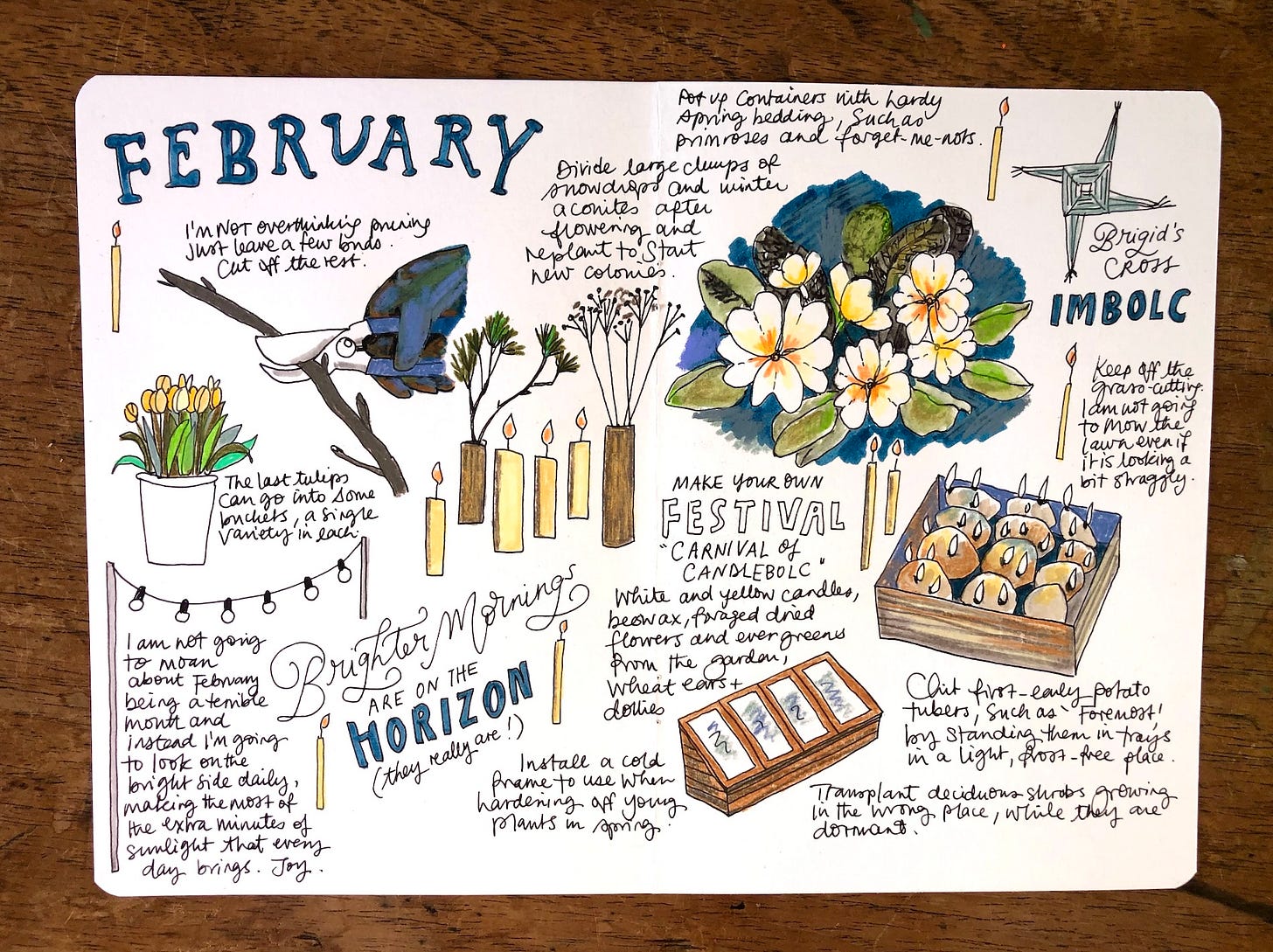 a journal with drawings of plants