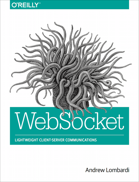 WebSocket book