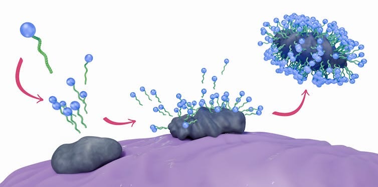 A three-part illustration showing blue soap molecules attacking and then destroying dirt molecules. A three-part illustration showing blue soap molecules attacking and then destroying dirt molecules.