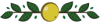 Separador feito em ilustração. Um abiu amarelo e redondo no centro, com folhinhas verdes ao lado direito e esquerdo