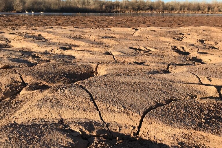 Cracked soil lines the Rio Grande on the northern edge of Albuquerque, N.M., on Thursday, Dec. 20, 2018. The irrigation canals are all but dry as farmers along the river are setting in for winter, holding out hope that the El Nino weather system will develop and save them from what could otherwise be another dry start to the next growing season. (AP Photo/Susan Montoya Bryan)