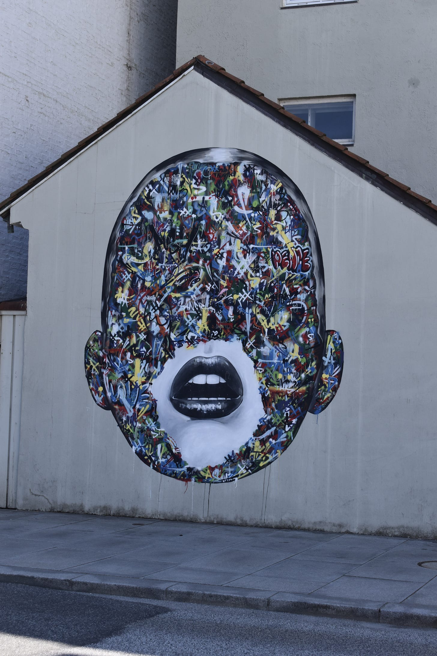 Street art of the side of a house, a head covered in colourful graffiti so only the lips and part of the chin are showing