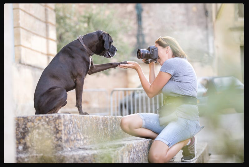 Woman photographer taking picture of a large black dog, demonstrating pet photography techniques