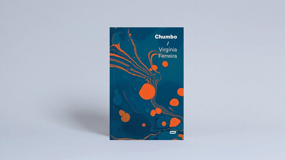 Chumbo / Virgínia Ferreira