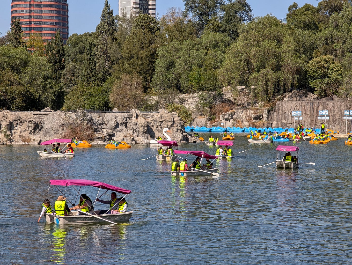 Rowboats and paddleboats at Chapultepec Park.
