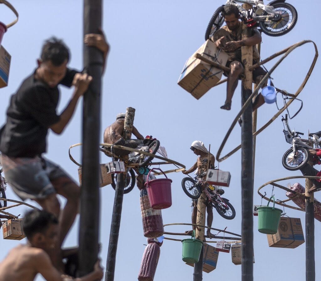 Men climb to the top of greased poles. 