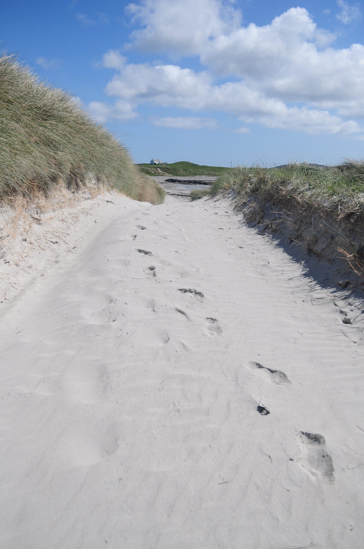Footsteps in a sanddune on a sunny day. There is grass and bents around the path in the sand. We can see a small house in the distance and puffy white clouds in the blue sky.