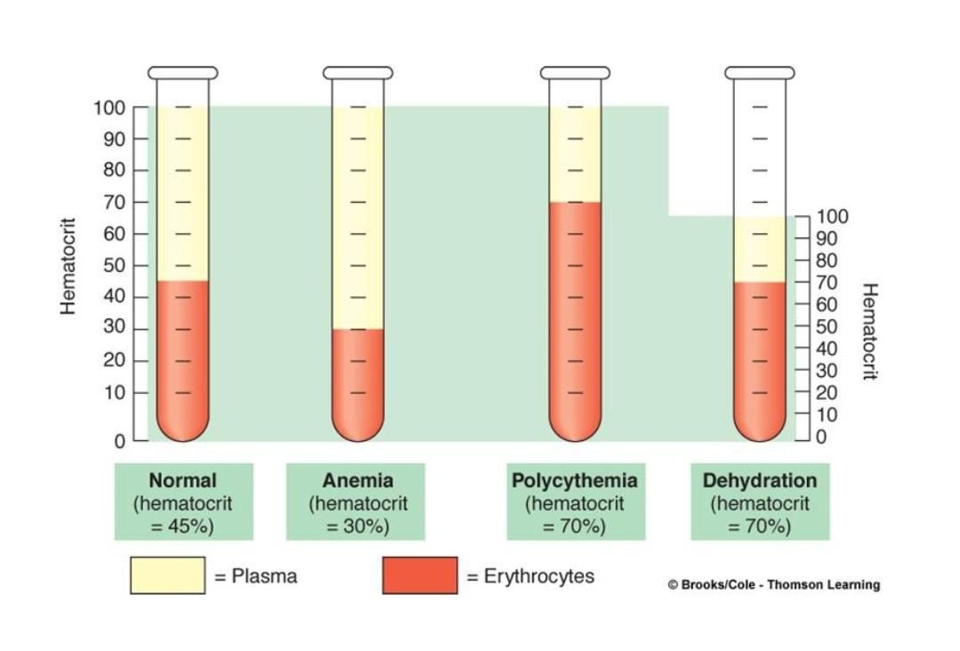 💊Daily Pill: What is Your Hematocrit? - by Dr. Ric