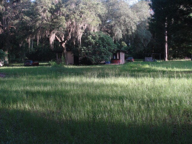 PURELY SEPT 2 Shariat farm Part 1.JPG