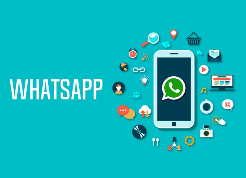 WhatsApp là gì? Có ưu điểm gì? Hướng dẫn sử dụng WhatsApp Messenger -  Thegioididong.com