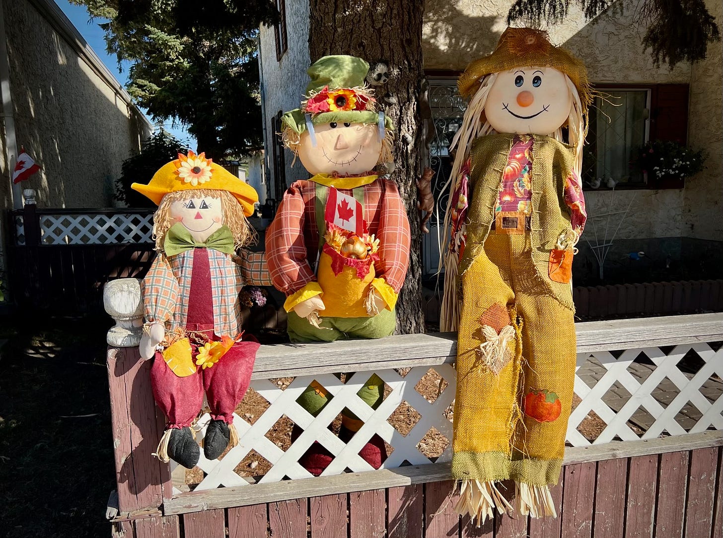 Scarecrow trio