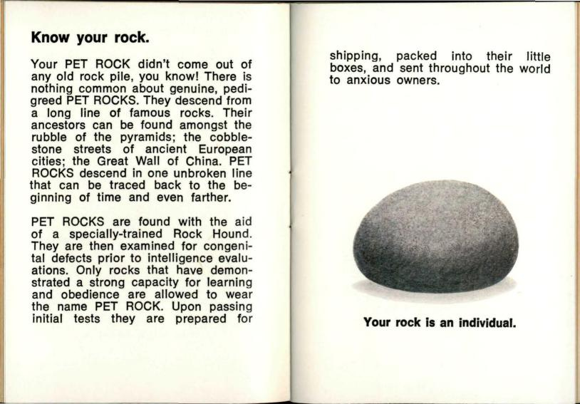 Book page from a pet rock manual