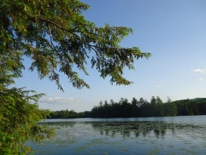 Lake scene