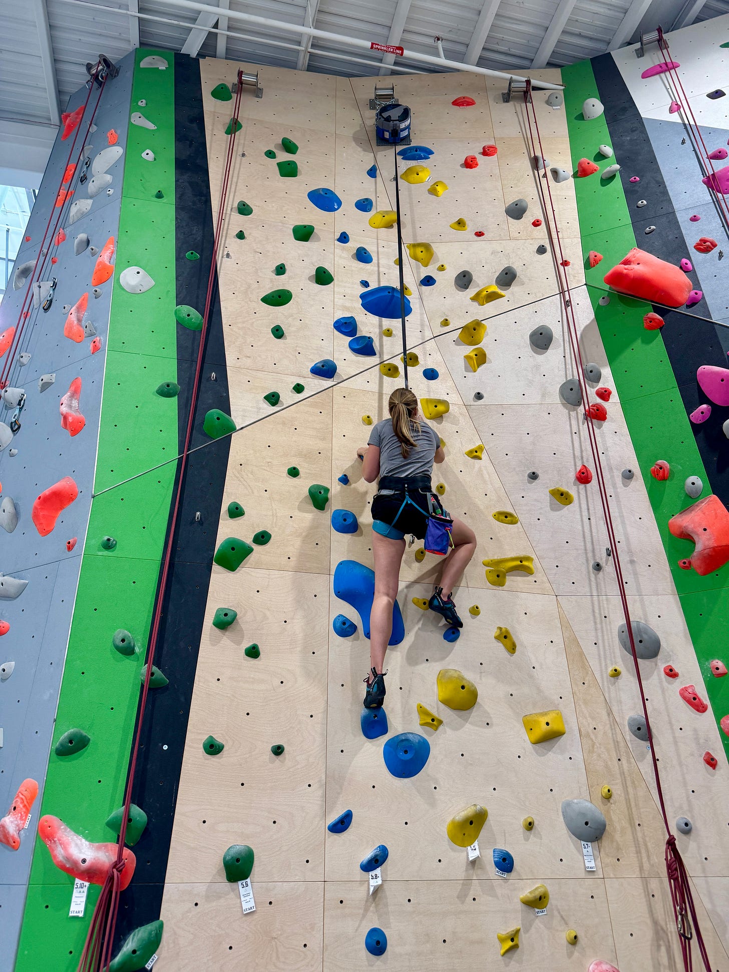 girl climbing rock wall