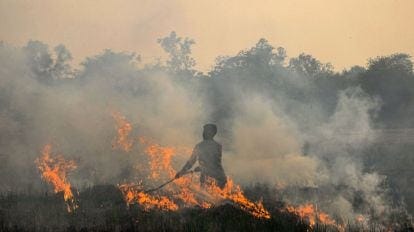 At 3,230, Punjab sees highest 1-day farm fires, over 17,000 this season |  Chandigarh News - The Indian Express