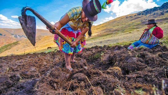 Ejecutivo dispone subsidio para 65,700 pequeños agricultores con menos de 2  hectáreas ante alza de fertilizantes - Noticias - Ministerio de Desarrollo  Agrario y Riego - Plataforma del Estado Peruano