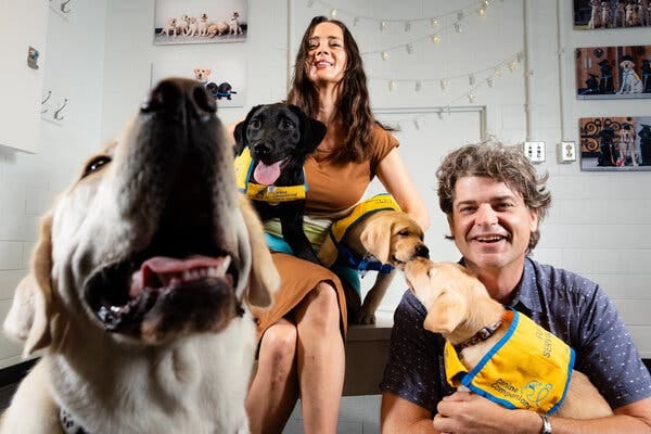 A portrait of Brian Hare and Vanessa Woods, who each hold young dogs in their laps, with one dog in the foreground seeming to solicit something from the photographer.