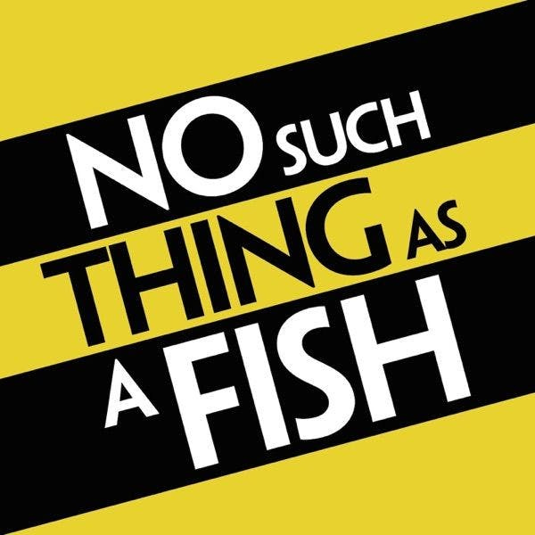 No Such Things As Fish