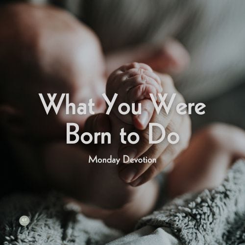 What You Were Born to Do, Monday Devotion by Gary Thomas