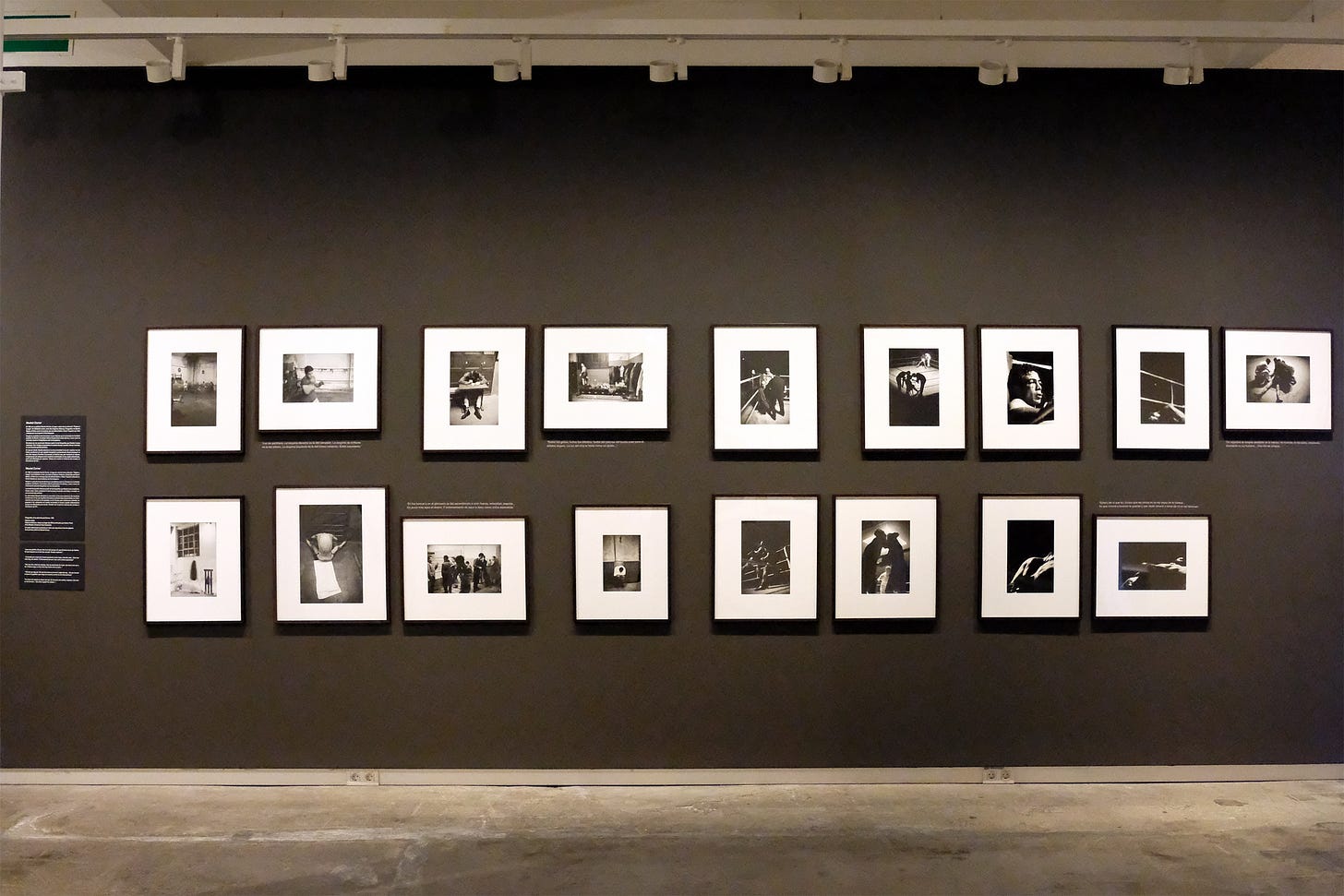 ©Joan Pifarré / Foto Colectania 