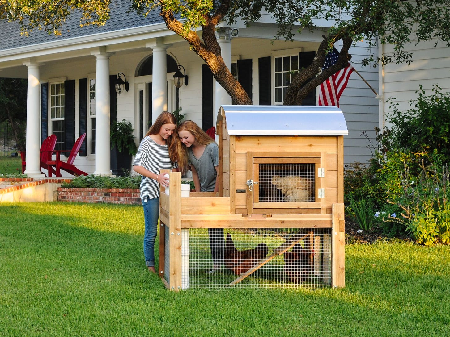 Round-Top Backyard Small Chicken Coop - Roost & Root