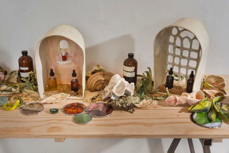 On top of a wood table sits two window-like altar forms reminiscent of the grotto garden statues. Inside the altar forms are tinctured plant material and dried herbs. On the table beside the altar sits pink ceramic votive forms, dried plant materials, two brown bottles of tinctured plant materials, and circular microscopic photographs of roots, branches, and leaves. 