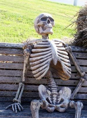 Waiting Skeleton Meme Generator - Imgflip