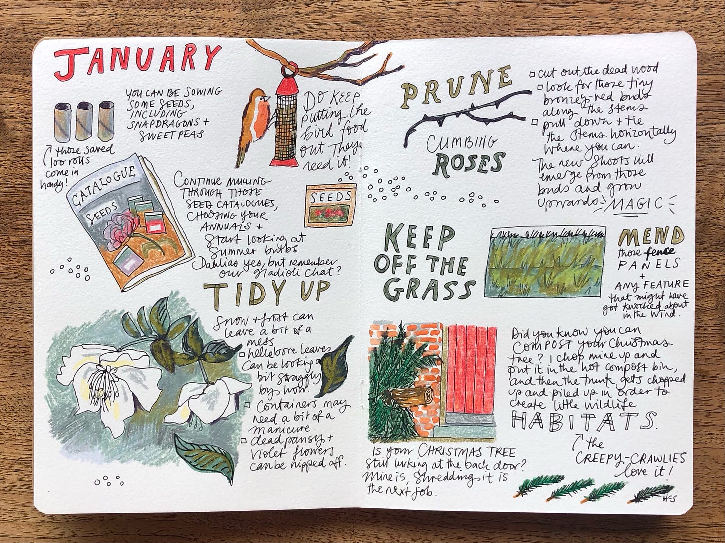 a page from an illustrated journal with flowers, birds and plants