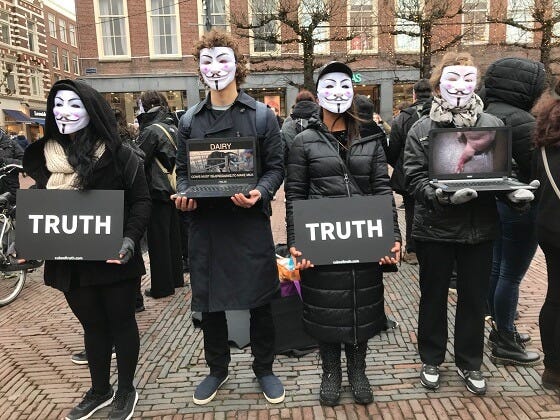 Anoniem voor de stemlozen' Cube of Truth in Haarlem - Animals Today