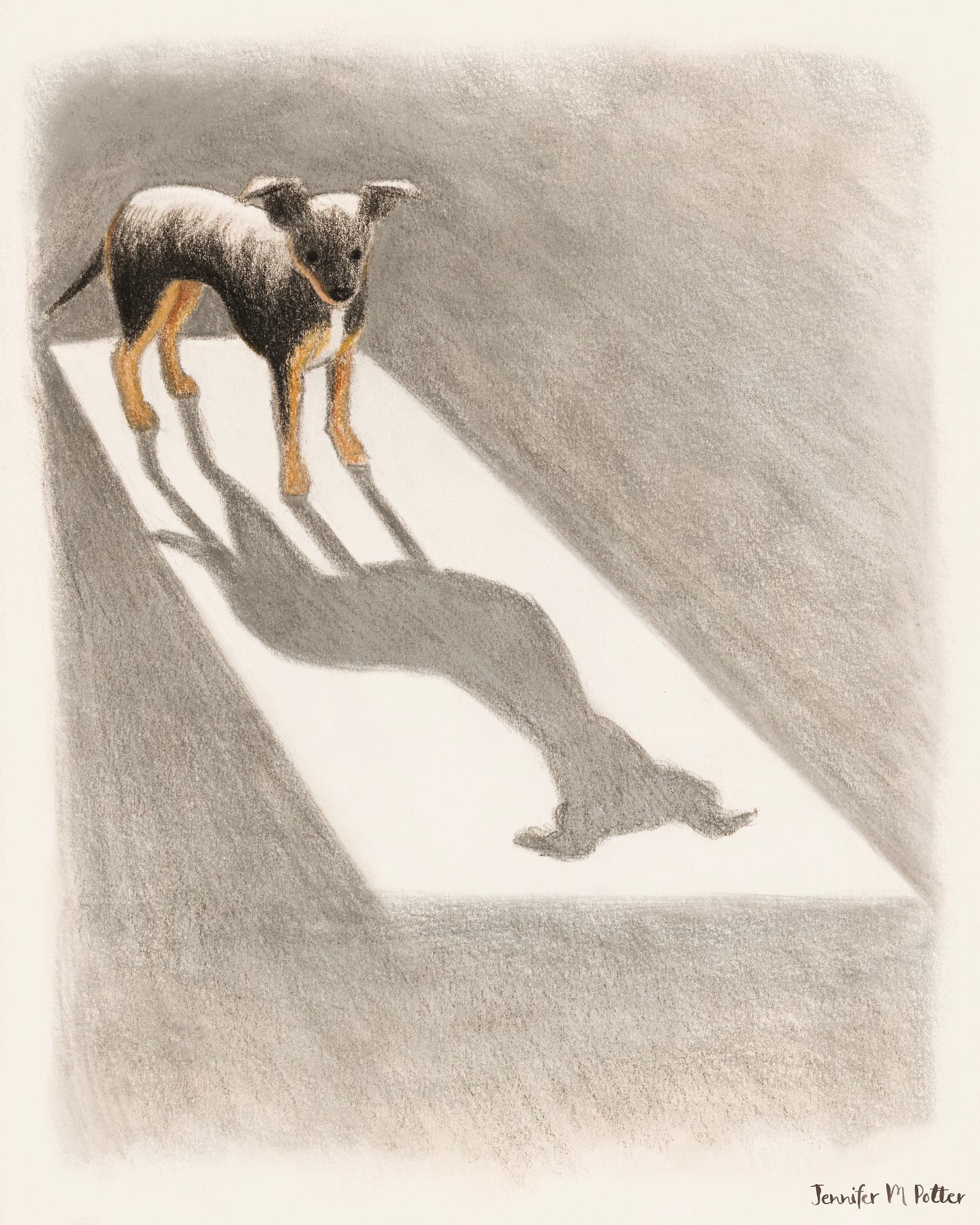 Illustration by Jennifer M Potter of a dog standing in light casting a long shadow