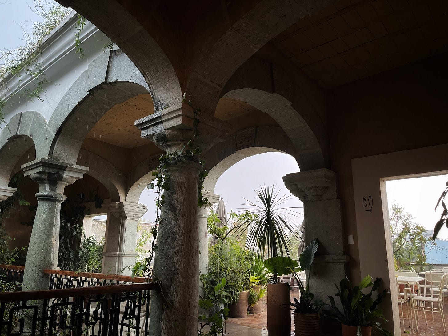 Oaxaca city mexico natural wine rooftop bar ama terraza. 