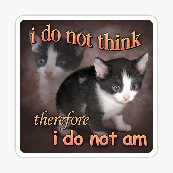 Philosophy Memes Stickers for Sale | Redbubble