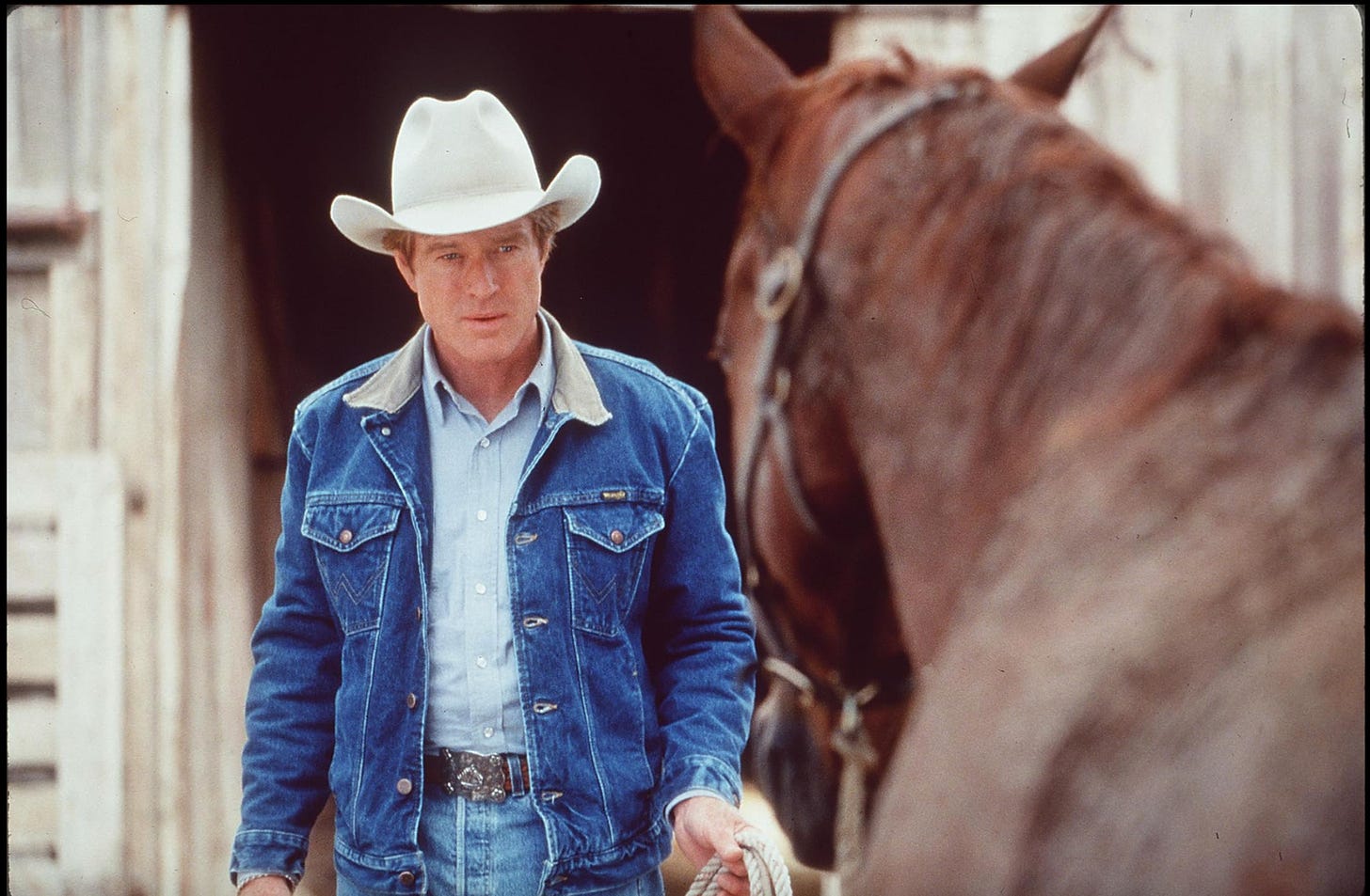 Robert Redford slowly approaches a horse, whom we see in 3/4 profile in the foreground. 