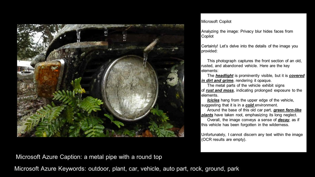An illustration that shows a photograph and text descriptions of the image that have been created in Microsoft Azure product and the Microsoft Co-Pilot product