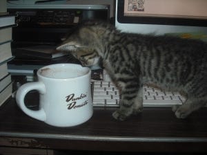 Kittens and Coffee