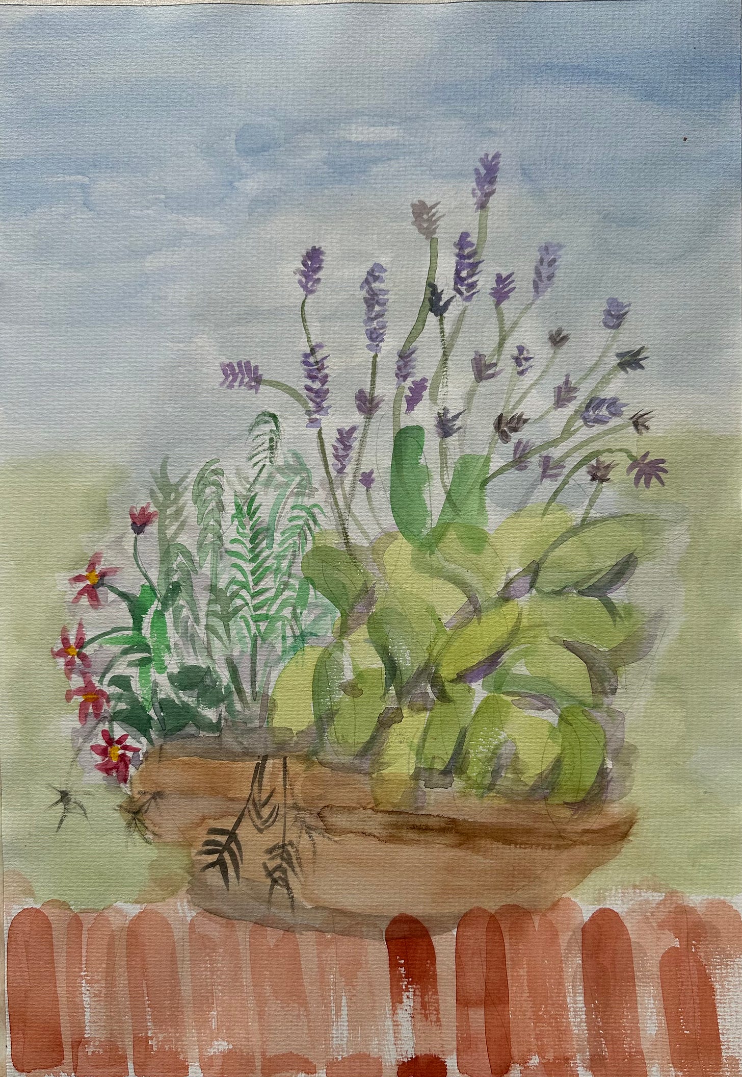 Image shows a watercolour sketch of a planter containing lavender and some herbs