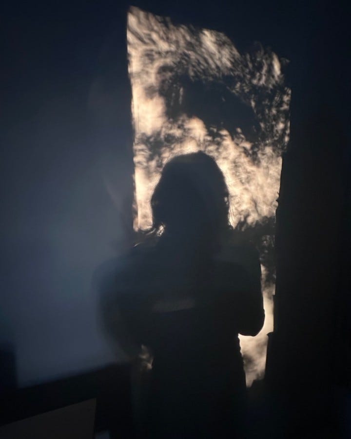 a skewed rectangle of light on a mostly-dark wall, patterns of leaves and outline of a long-haired person within
