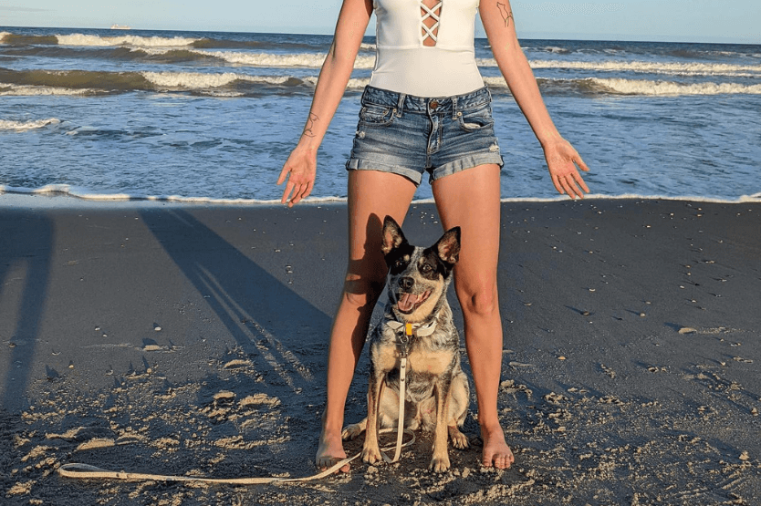 Scout the Australian cattle dog sits between her owner's legs in middle position on the dog-friendly stretch of Cocoa Beach in Florida, with the ocean behind them