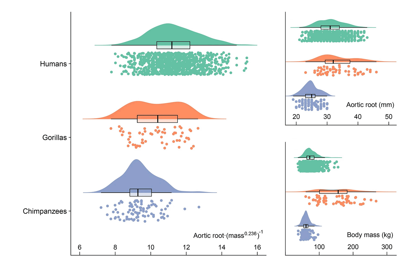 Three panel figure, each showing a histogram of values for humans, gorillas, and chimpanzees with jittered dots for each individual. The left panel shows humans highest, gorillas next, and chimpanzees lowest in aortic root diameter scaled to body mass. The right two panels show raw values for aortic root diameter and body mass. Three panel figure, each showing a histogram of values for humans, gorillas, and chimpanzees with jittered dots for each individual. The left panel shows humans highest, gorillas next, and chimpanzees lowest in aortic root diameter scaled to body mass. The right two panels show raw values for aortic root diameter and body mass.