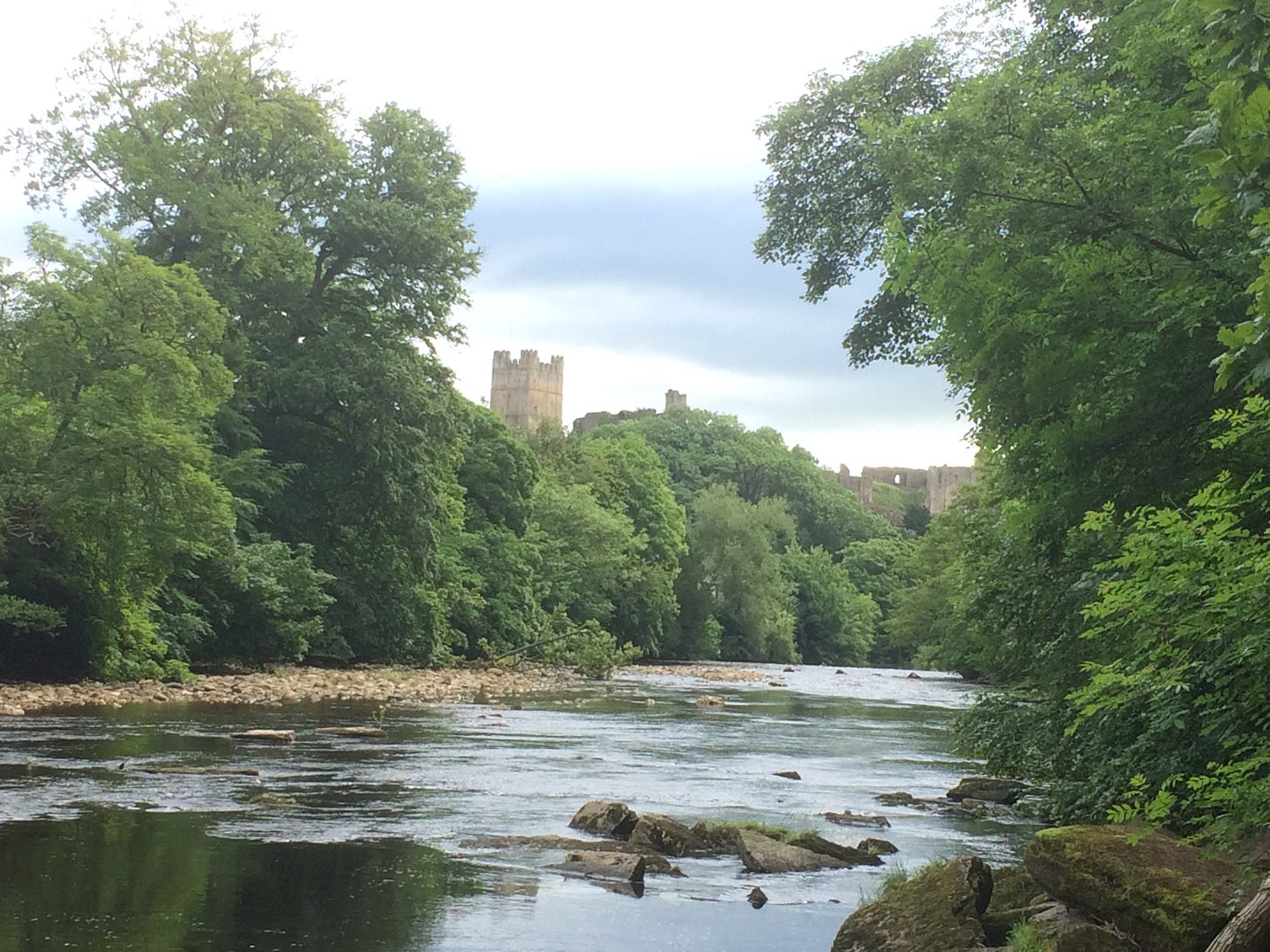 river with trees lines banks and a castle on the horizon