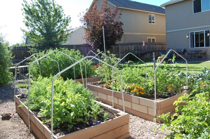 The expanded garden gives crazy yields in this suburban fun-size farm.