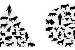 Speciesism places Homo sapiens at the top of a hierarchy that is often used to justify sacrificing other animals, plants, fungi and microbes for the benefit of humanity. A different perspective is needed to ensure the survival of Earth’s ecosystem and ultimately humans themselves, a new book argues.