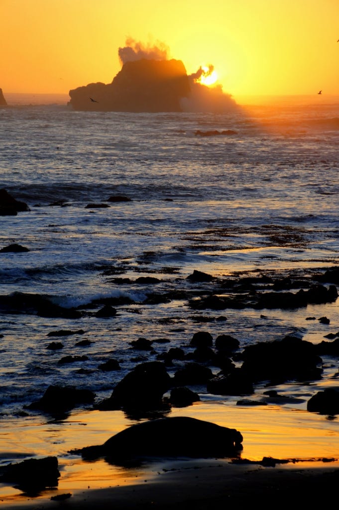 The sun sets on the beach, king bull reclining in the foreground.