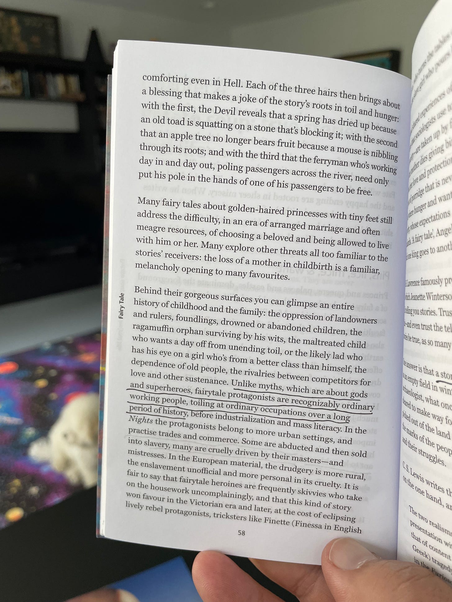 A picture of a couple of pages from the book, with the underlined section that says, "Unlike myths, which are about gods and superheroes, fairytale protagonists are recognizably ordinary, working people, tolling at ordinary occupations over a long period of  history."