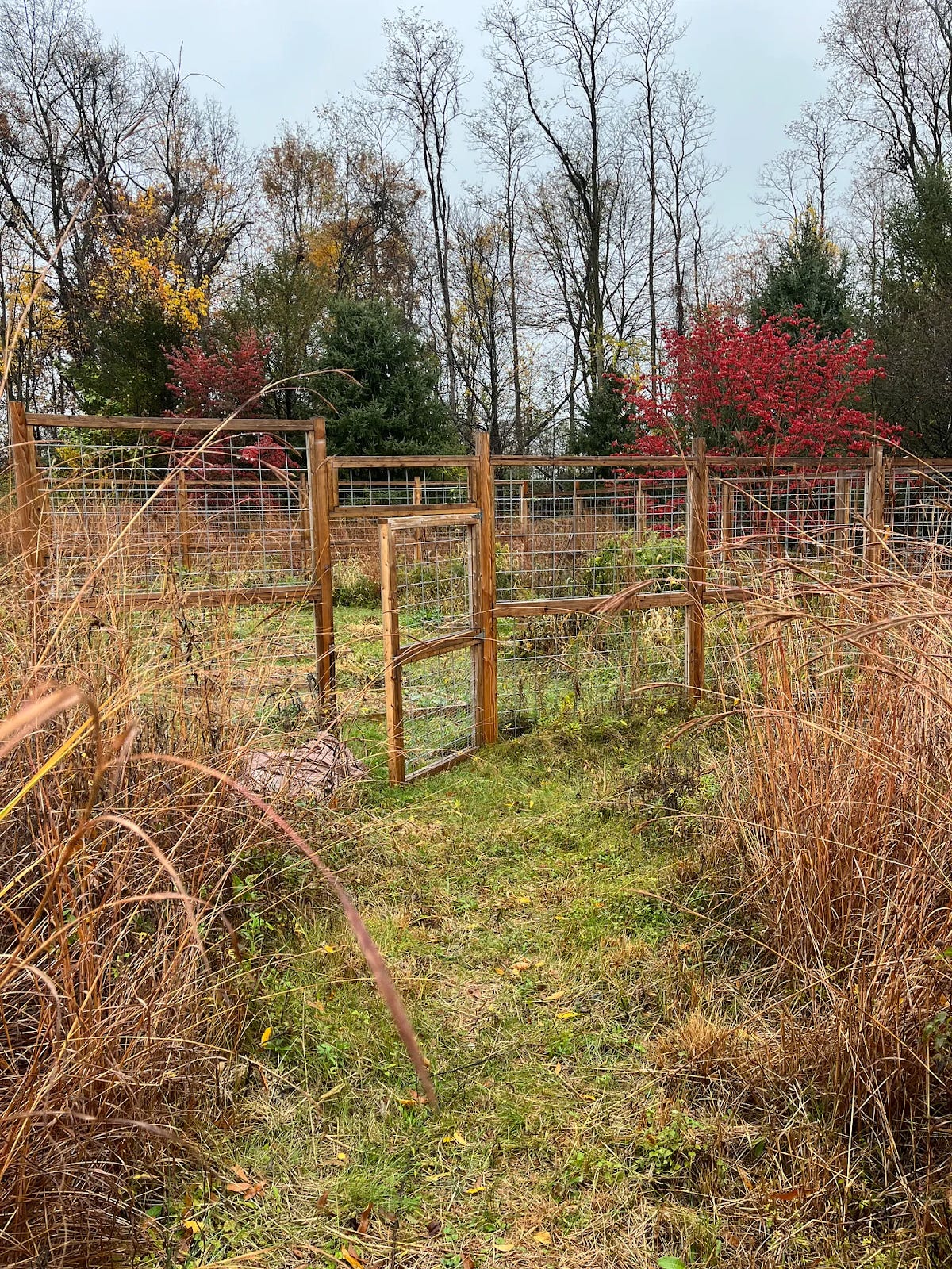 a garden gate hanging open