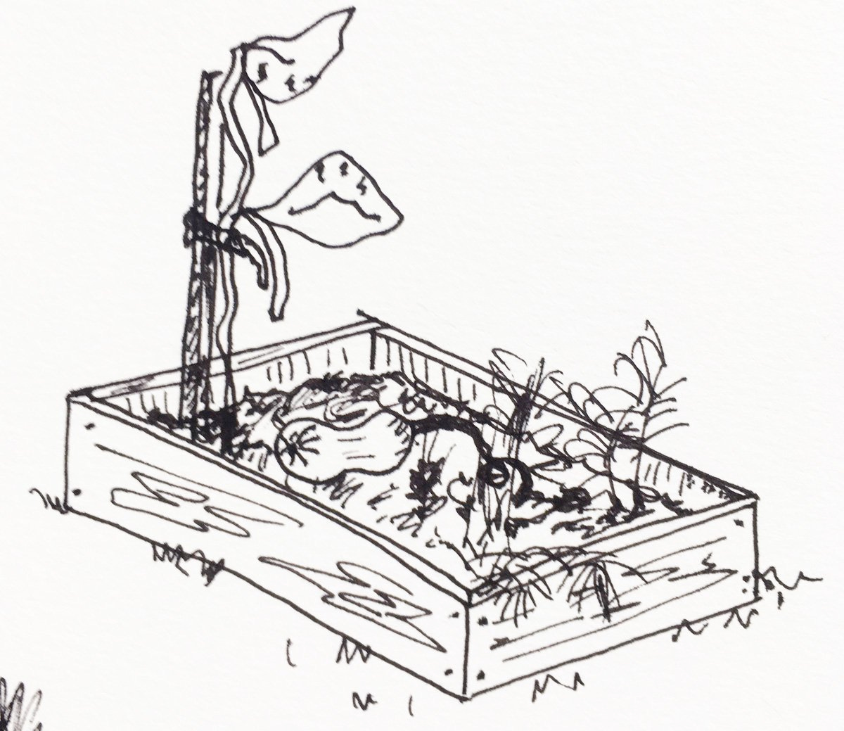 Plant Grow Share: Don’t let it go to waste