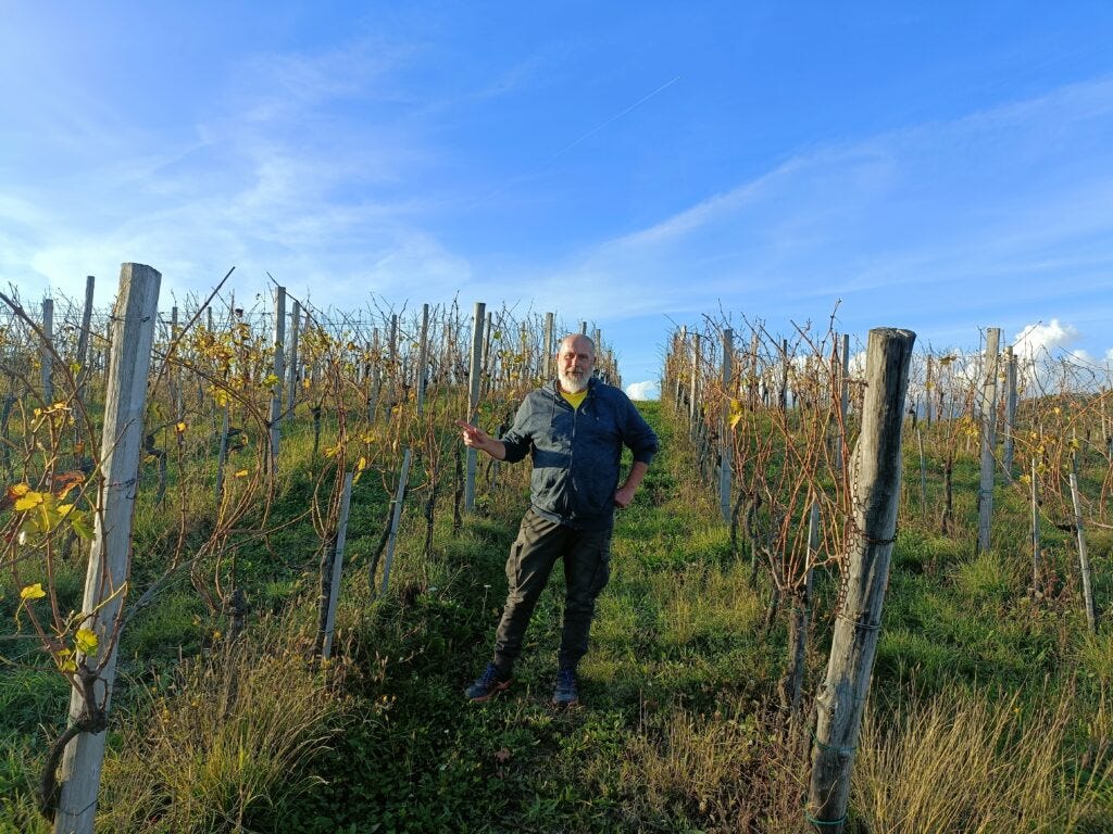 Matej Biziak in the Santei vineyards
